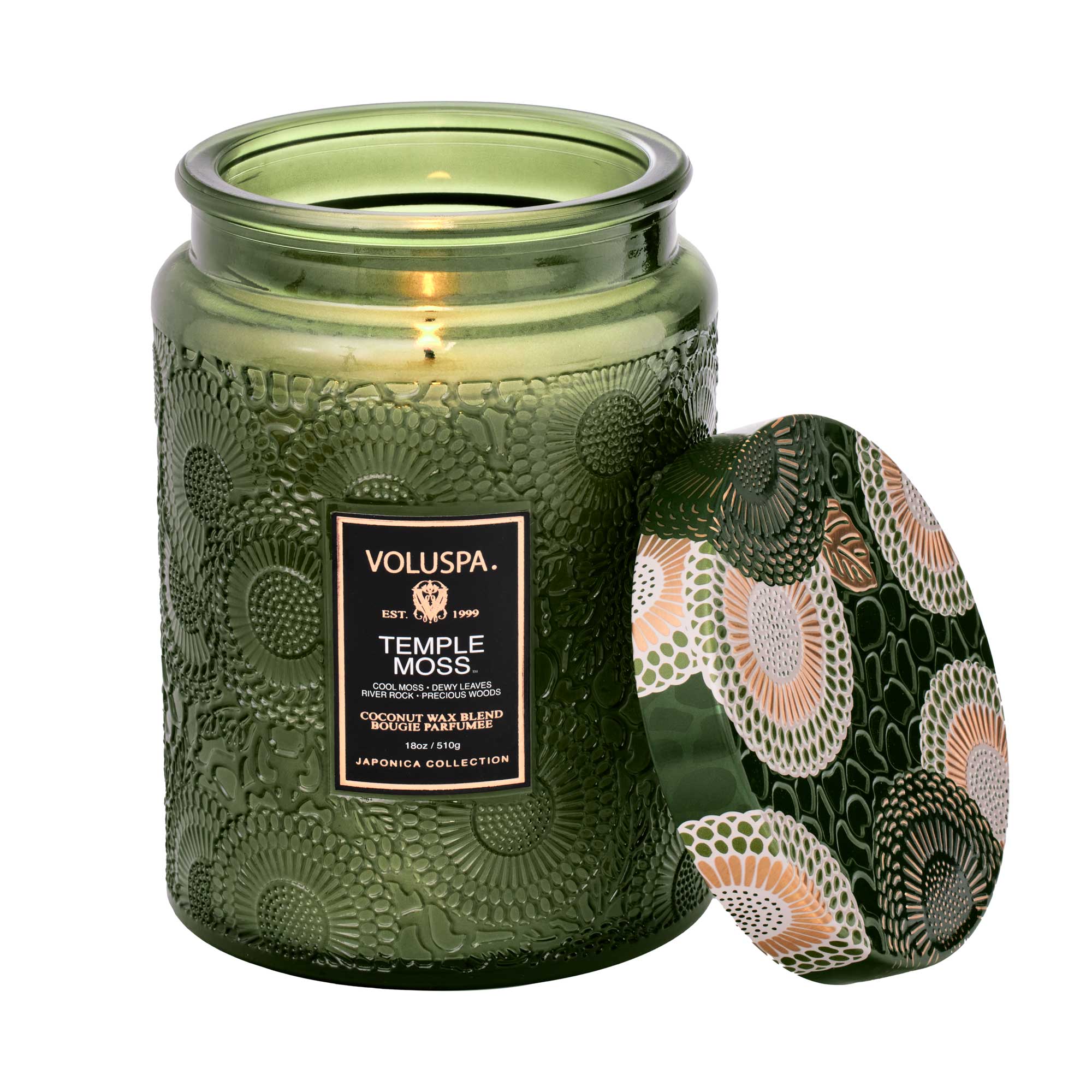 Mushroom Magic Candle (Citrus & Forest Moss)