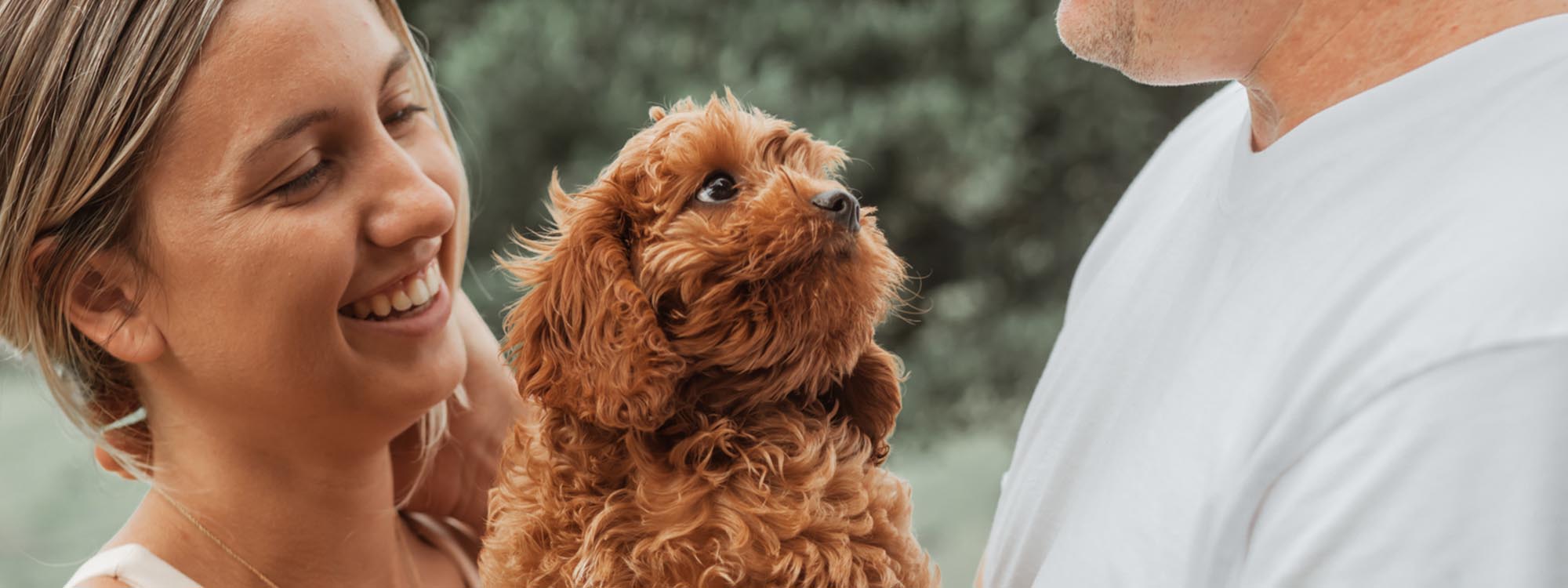 Diamond Valley Kennels Happy Puppy