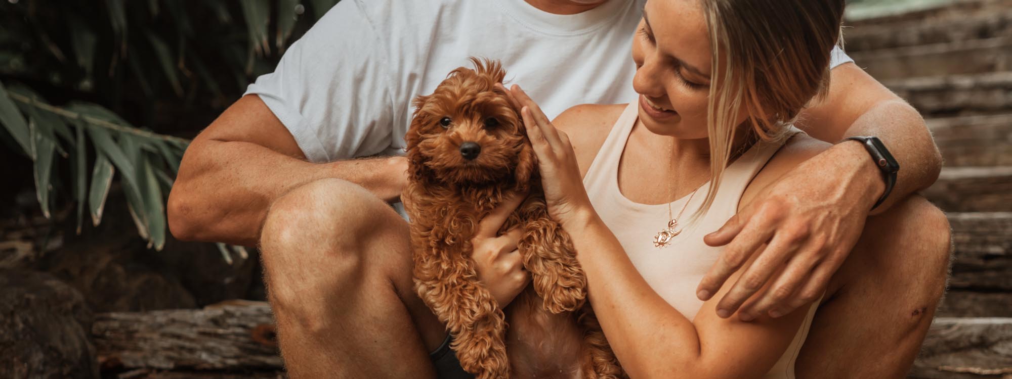 Diamond Valley Kennels About Us Hero