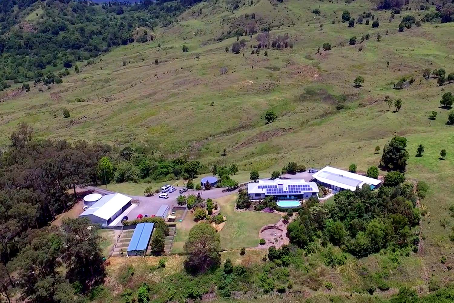 Diamond Valley Kennels Headquarters