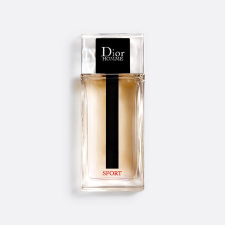 dior homme sport stick