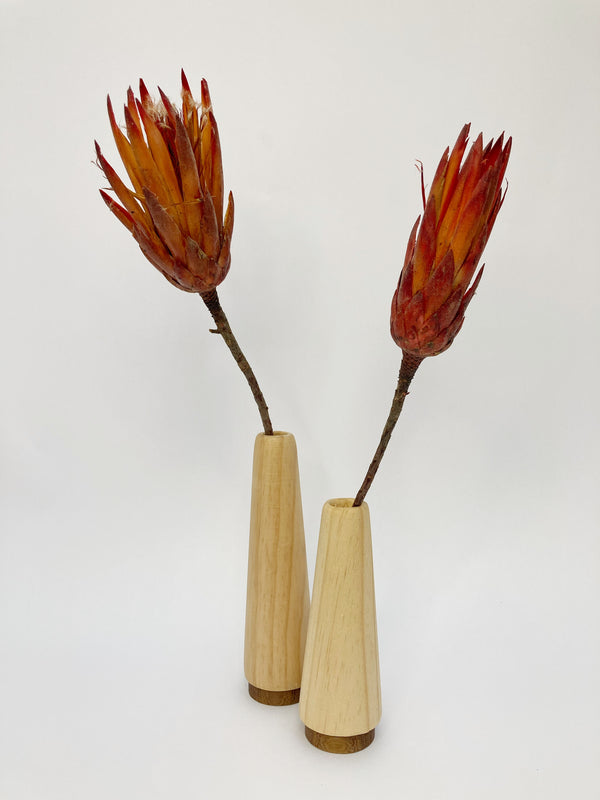 Tapered Vases Light 1