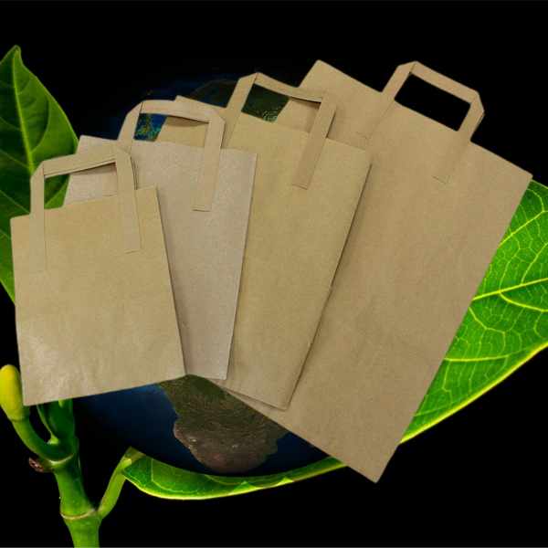 Paper Carrier Bags - Recycled & Recyclable - 3 Sizes - White or Brown 2