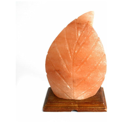 Natural Himalayan Crystal Salt Lamp - Fern Leaf Shape