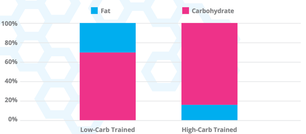 SFuels Race+ oxidised calories per hour at various intensities