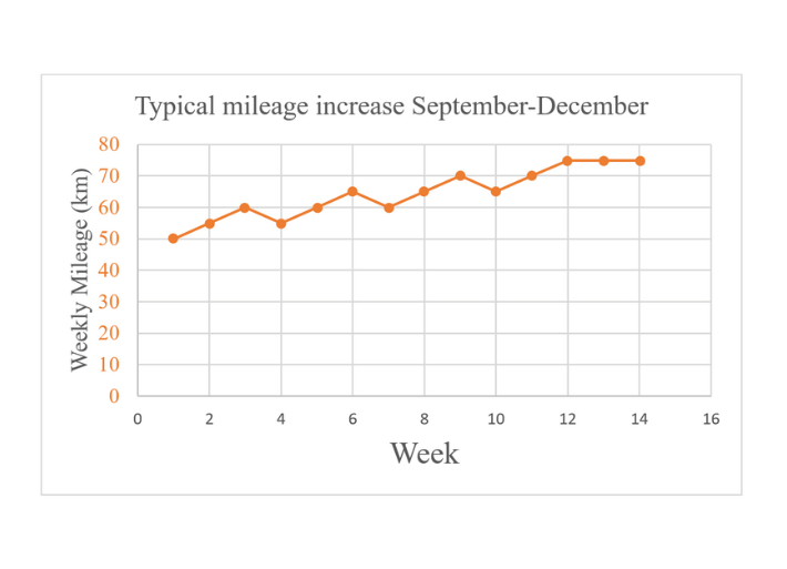 Strava Middle Distance Training