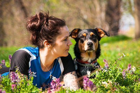 phyto veto douleur articulaire chien chat naturel