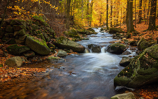Autumn stream long exposure example