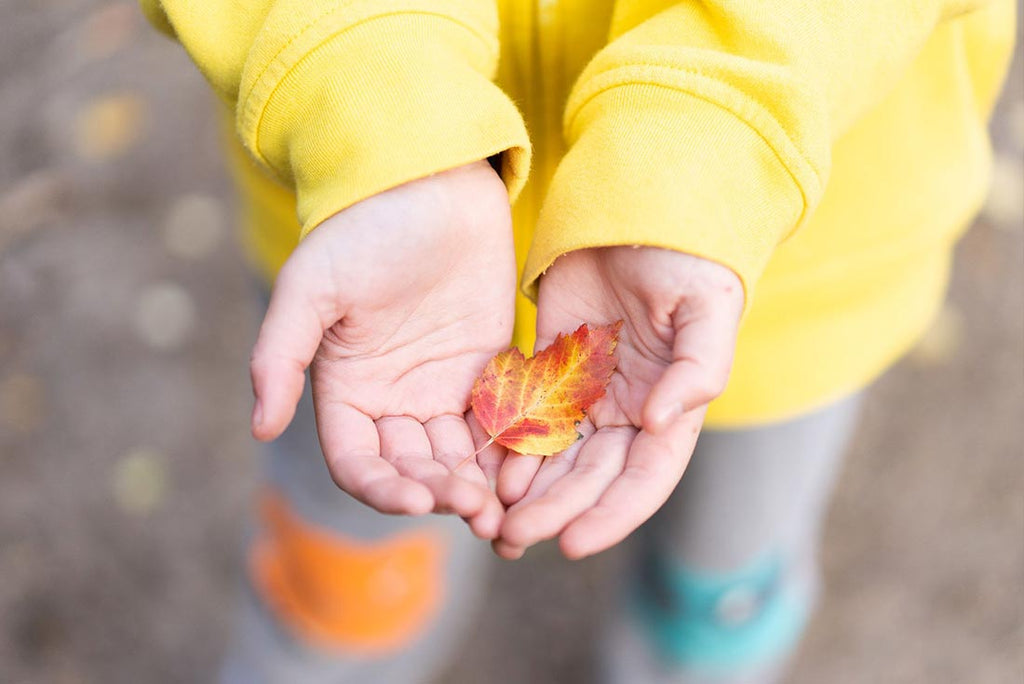 Pretty orange leaf in a little child's hand