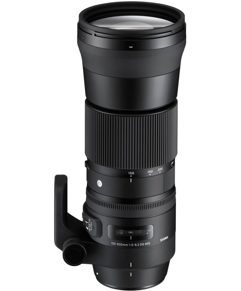 Sigma 150-600mm f/5-6.3 OS Contemporary Lens Canon EF | Rockbrook 