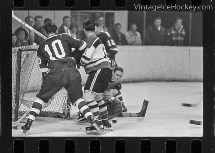 Remembering Long Island Arena and LI Ducks hockey 46 years later