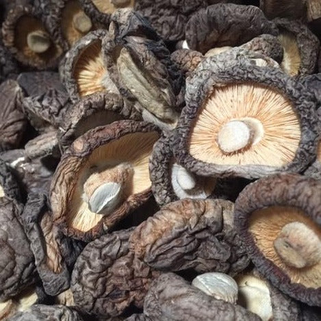 Dried Paddy Straw Mushrooms – Forest Mushrooms