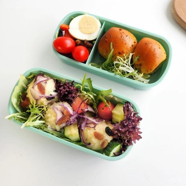 bento lunch box japonaise