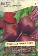 Load image into Gallery viewer, Beet Detroit Dark Red