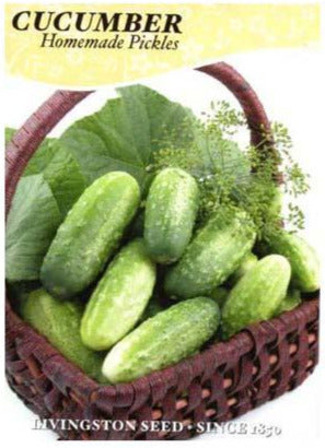 Cucumber - Homemade Pickles