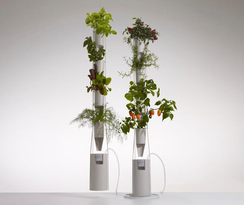 WINDOW FARMS. Grow your own fresh food even in the winter without dirt. 