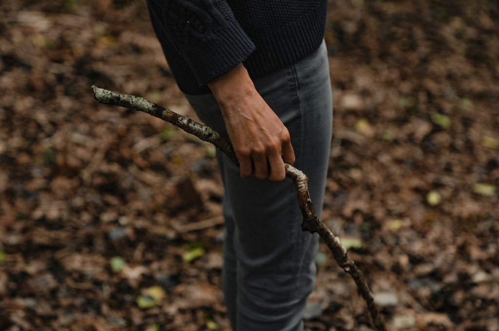 Close-up photo of someone holding a branch, stood in the woods, surrounded by autumn leaves.