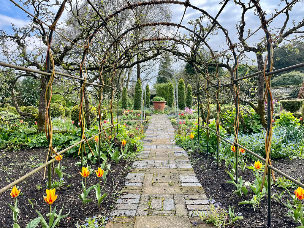 Trellis with climbing plants and view of vegetable gardens