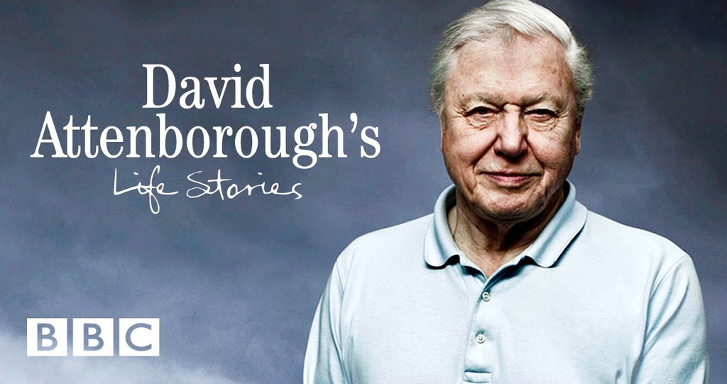 Portrait of David Attenborough 'Life Stories'