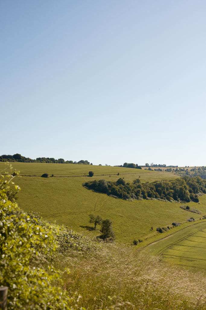 Cranborne Chase Area of Outstanding Natural Beauty