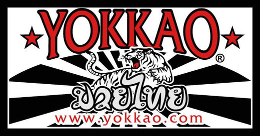 SPENCER VS D’ANGELO CO-HEADLINES YOKKAO FIGHT NIGHT BOLOGNA