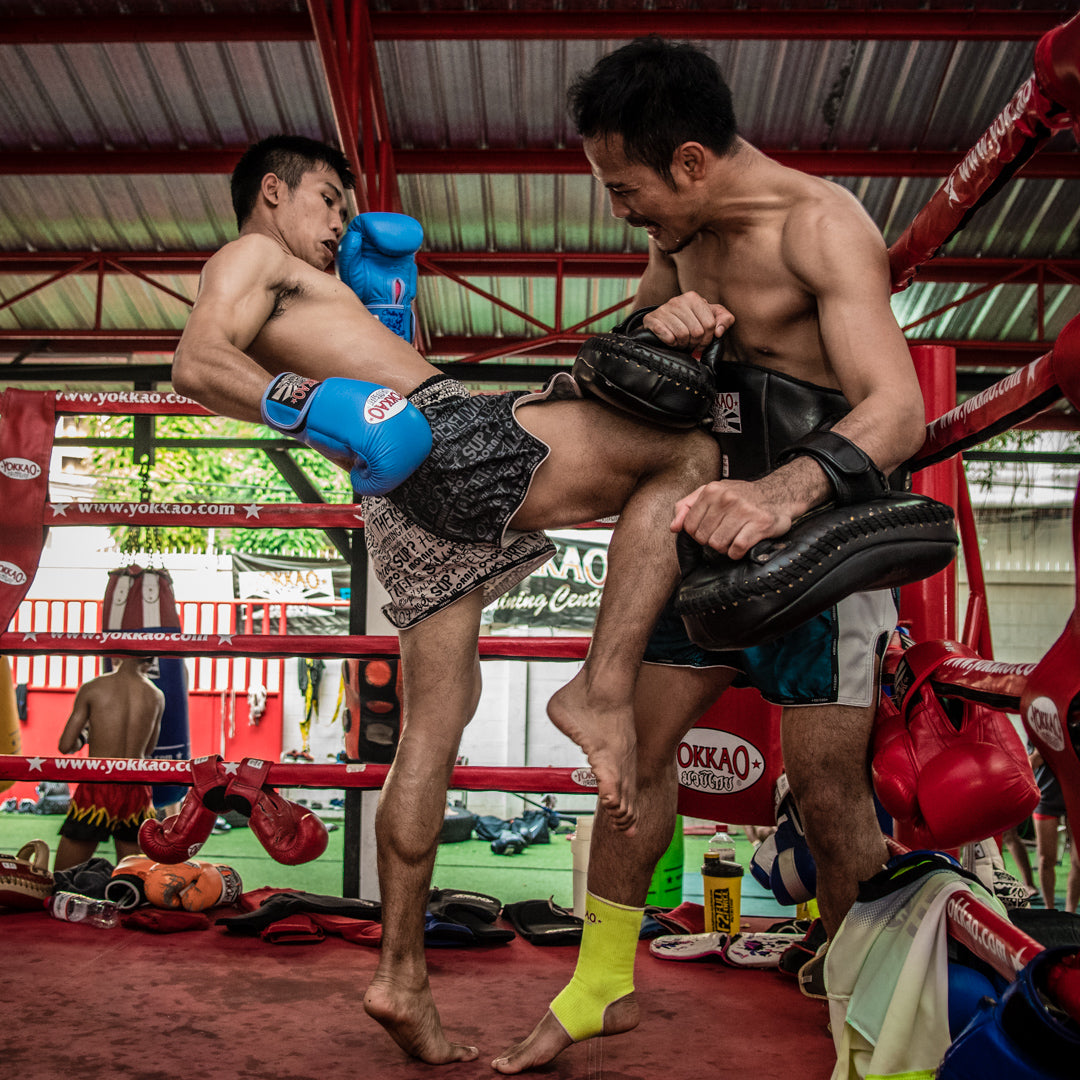  Protege Coude Boxe Thai