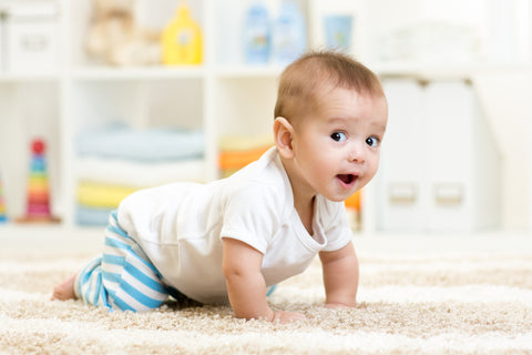 Your baby's first two years will include tremendous growth and development. The bökee can help you keep up.he 