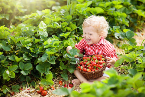 Local farms are a great option for getting some time outdoors with your baby.