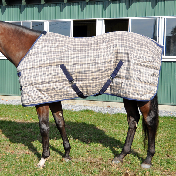 Premium Quality Horse Racing Equipment 