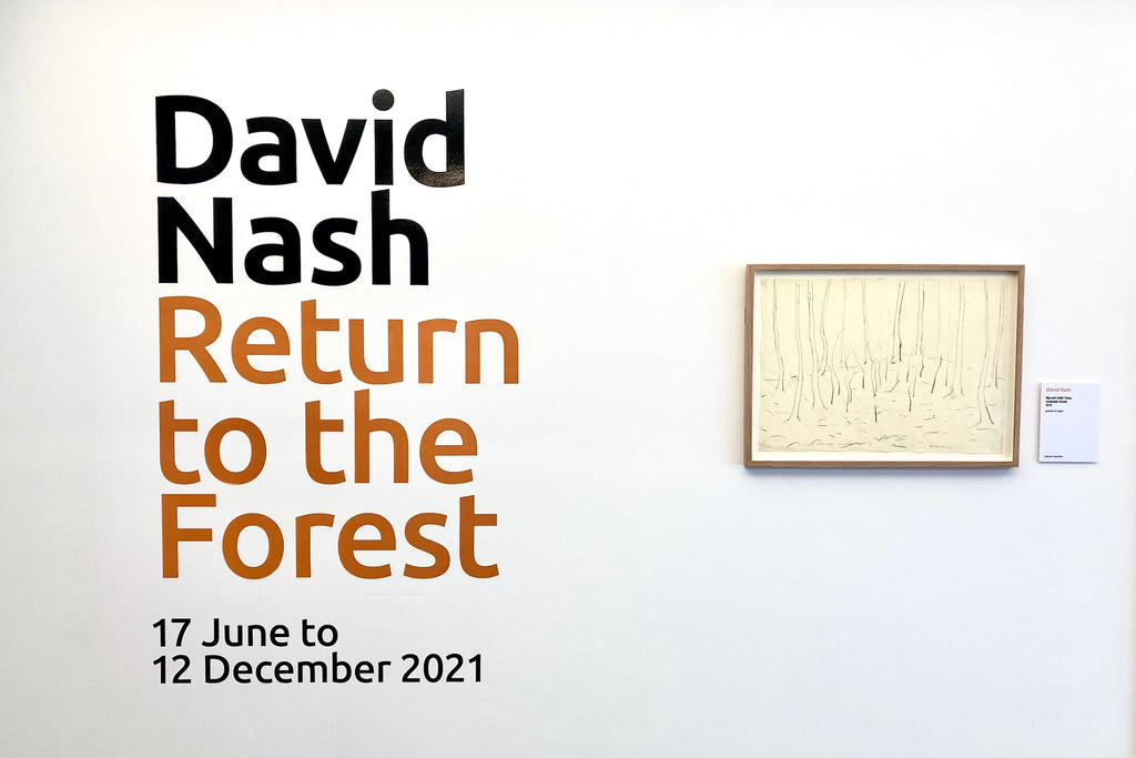 David Nash Return to the Forest exhibition