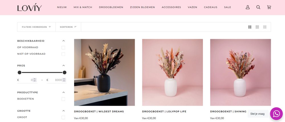 LOVÍY shopify webshop voorbeeld