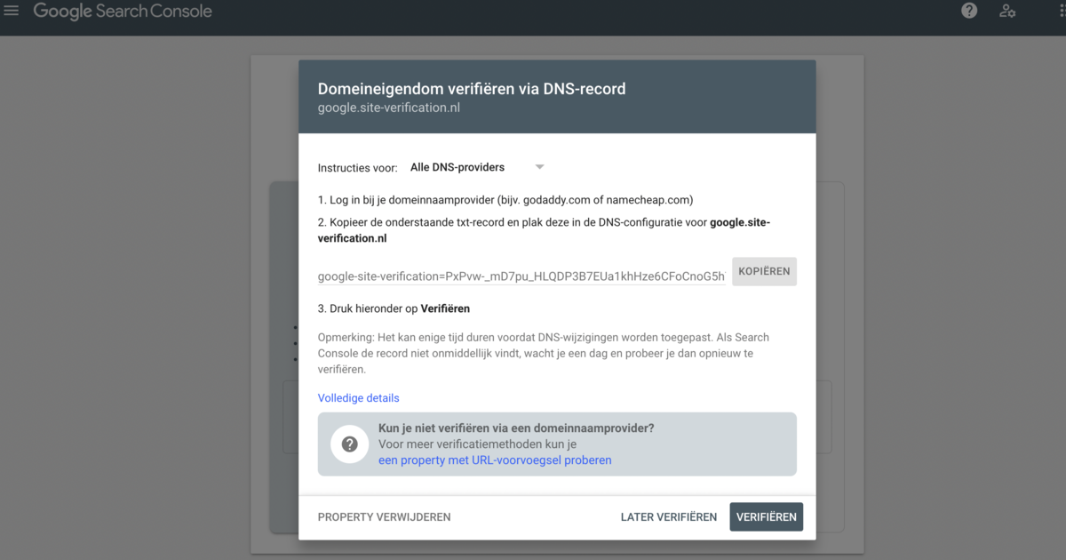 Screenshot van Google Search Console: domein eigendom verifieren