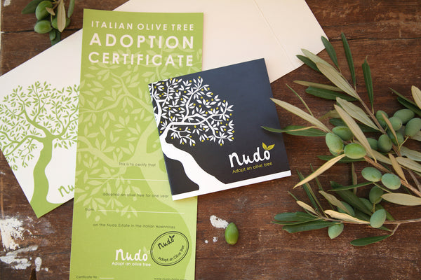 Nudo olive oil subscription