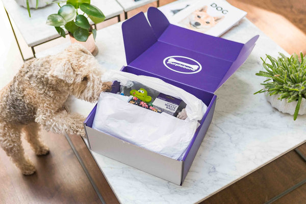 purplebone subscription box