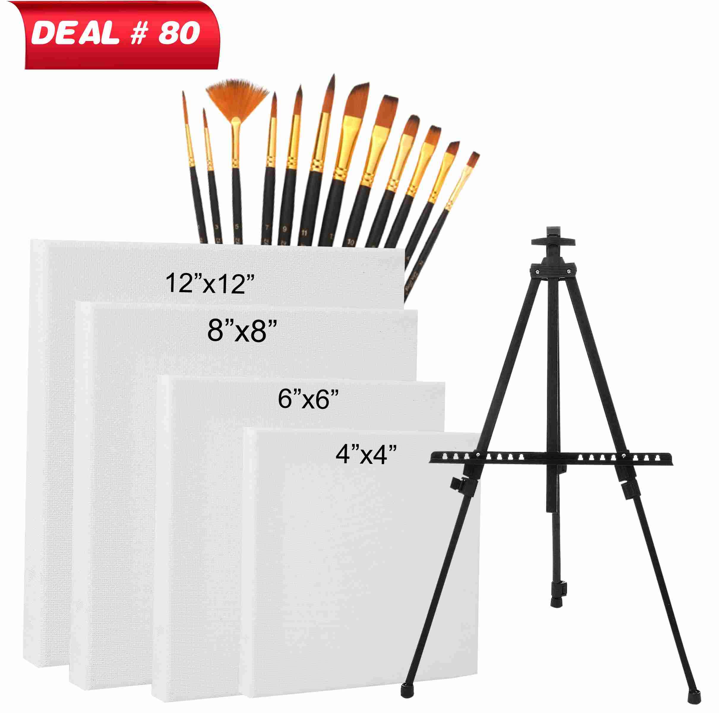 Acrylic Painting Kit For Professional Artist's, Deal No. 62