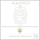 Astrological sign: Aquarius
