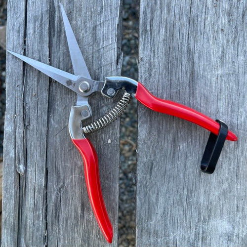 Pruner Shears For the Garden - Our Best Hand Pruners - Carbon Steel – The  Celtic Farm