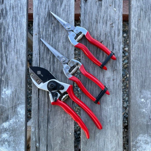 Pruner Shears For the Garden - Our Best Hand Pruners - Carbon Steel – The  Celtic Farm