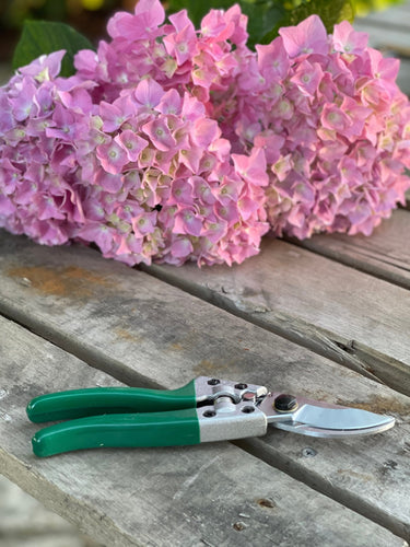 https://cdn.shopify.com/s/files/1/0253/8225/6695/products/pruner-shears-for-the-garden-our-best-hand-pruners-carbon-steel-870908_250x250@2x.jpg?v=1682337246