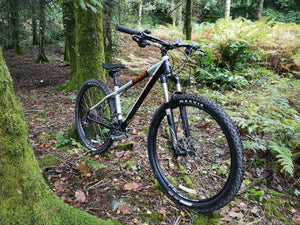 genesis core mountain bike