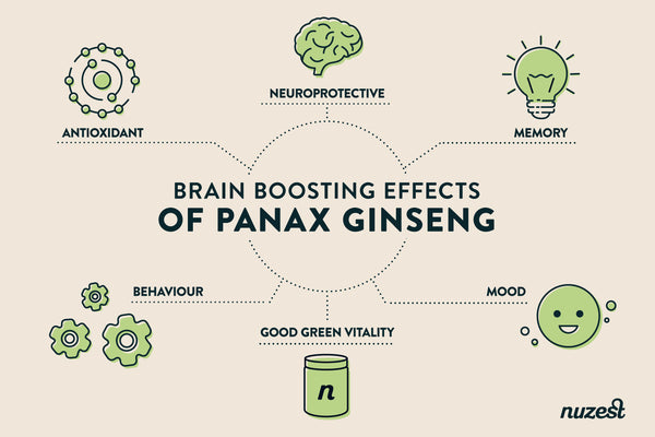 The benefits of Panax Ginseng in Good Green Vitality