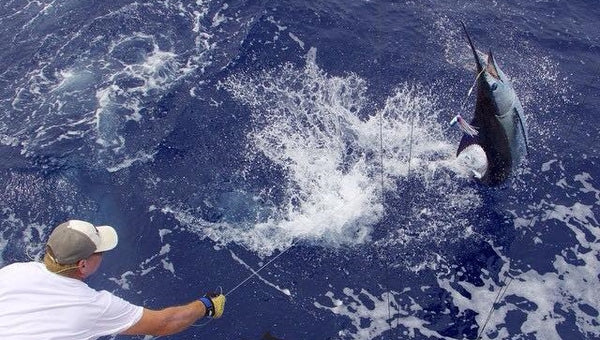 Marlin Magic, Kona, Hawaii, Sport fishing