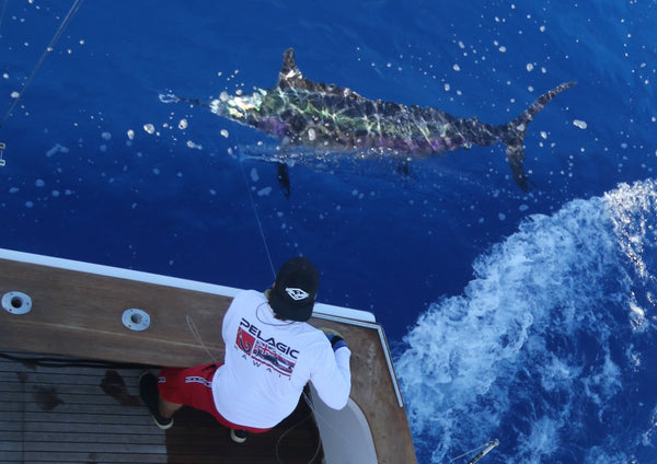 Marlin Magic, Kona 