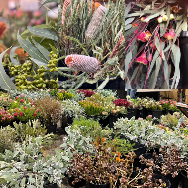 Sydney flower market