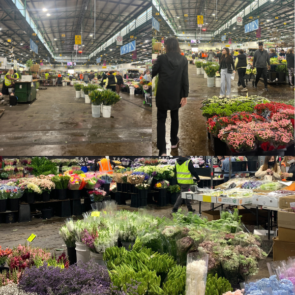 Sydney flower market