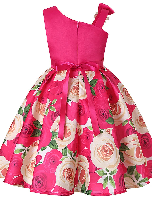 Cute Roses Block Dress Kids & Babies 33.99 Free Shipping