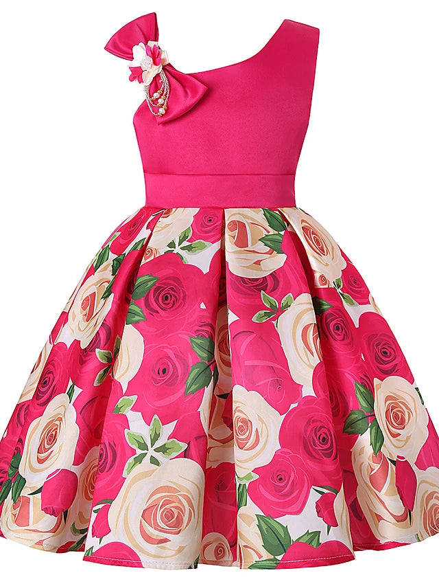 Cute Roses Block Dress Kids & Babies 33.99 Free Shipping