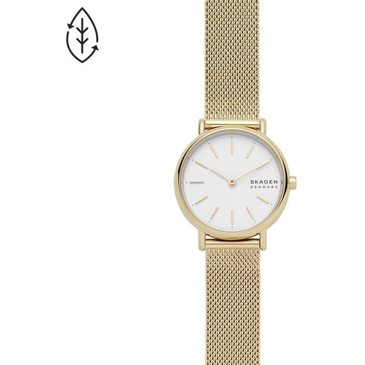 Montre Skagen Watch SKW2693