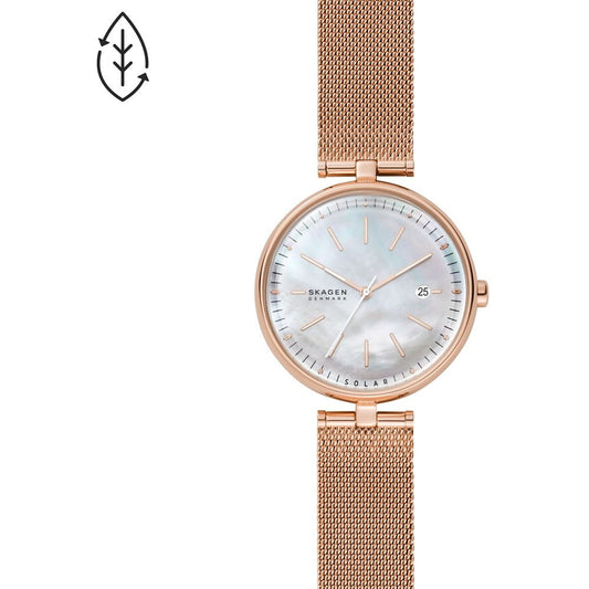 Montre Skagen Watch SKW2980