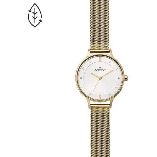 Montre Skagen Watch SKW2150